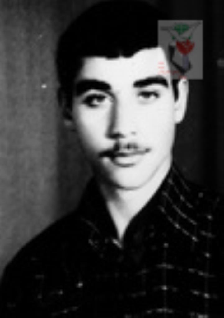 فاقد تصویر